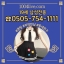 ஓ서울폰팅번호:【☎O5O5-754-1111】대구폰팅ஓ...